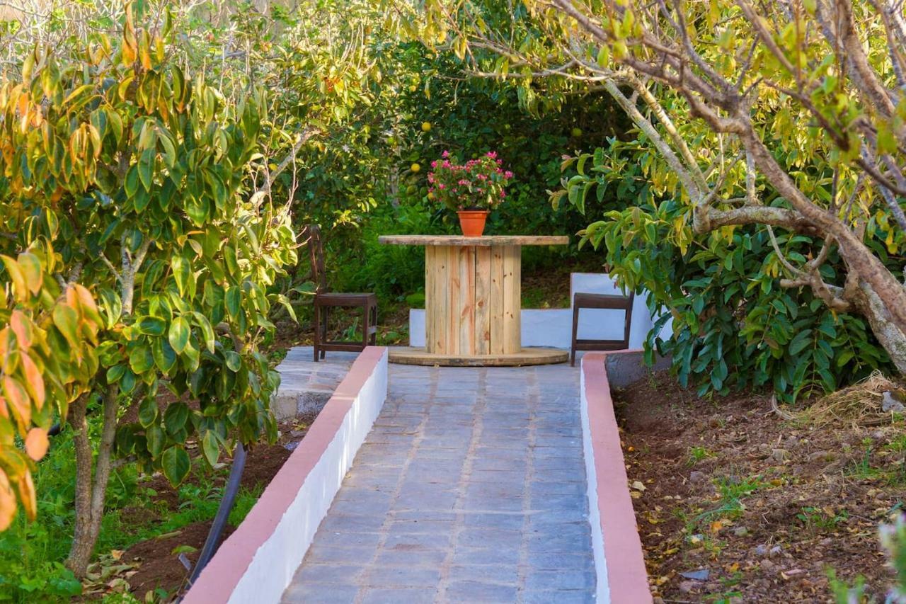 Casa Cueva Villa Aday Santa María de Guía de Gran Canaria Exterior foto